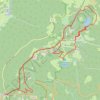 Trace GPS La Schlucht, le Tanet, le lac Vert, itinéraire, parcours