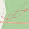 Trace GPS The Tsitsikamma Big Tree, itinéraire, parcours