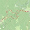 Trace GPS Pinéa depuis Col de Porte, itinéraire, parcours